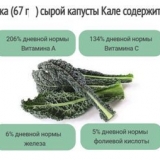 Kelj (kelj): koristi i štete, sastav i kontraindikacije